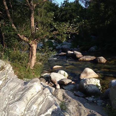 Apartment Flat With Garden And Terrace Venaco (Corsica)