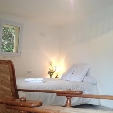 Flat With Garden And Terrace *
