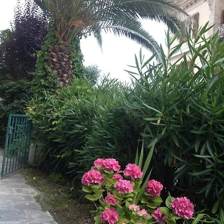 Flat With Garden And Terrace Venaco (Corsica)